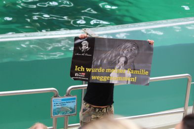 Save the Ocean, Jörn Kriebel, Delfinarium, Demo, Banner, Orca, Aktivisten,  Empty The Tanks,  Wale Gefangenschaft,  Blackfish, Zoo, Tierschutz, Duisburg Delfinarium,